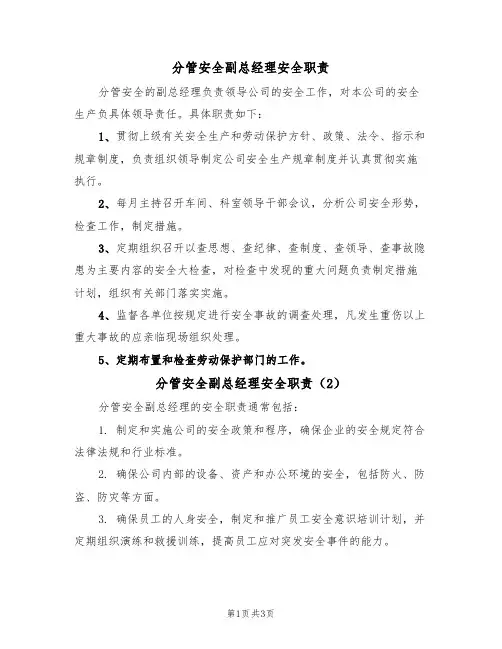 分管安全副总经理安全职责(3篇)