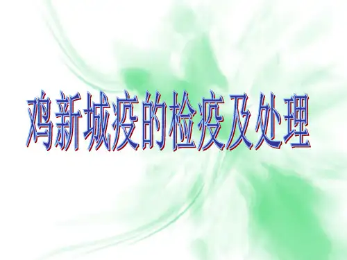 鸡新城疫的检疫及处理