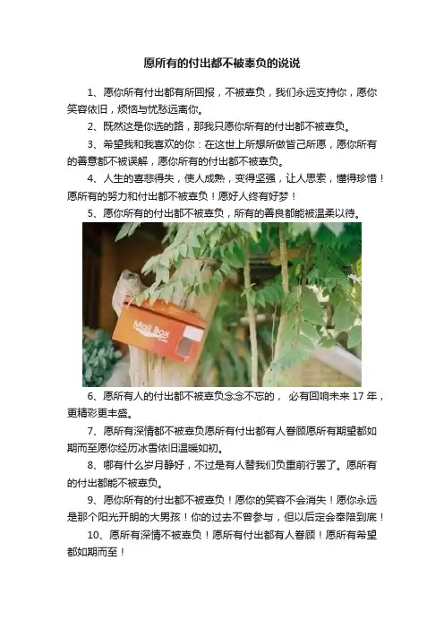愿所有的付出都不被辜负的说说