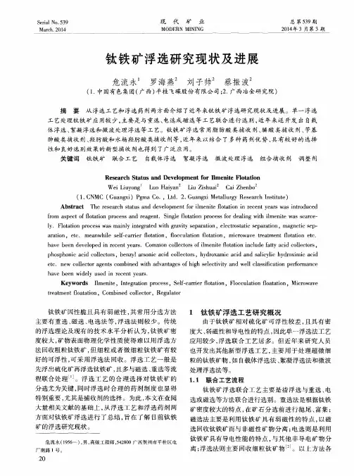 钛铁矿浮选研究现状及进展