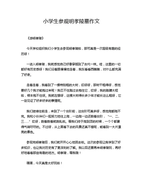 小学生参观明孝陵墓作文