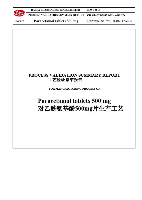 欧盟工艺验证报告(中英文翻译)