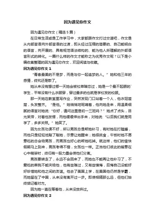 因为遇见你作文（精选5篇）