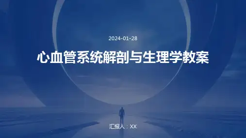 心血管系统解剖与生理学教案