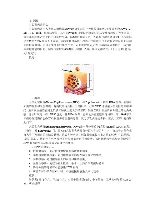 尖锐湿疣是什么