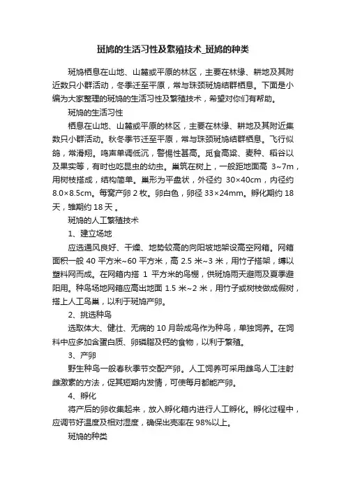 斑鸠的生活习性及繁殖技术_斑鸠的种类