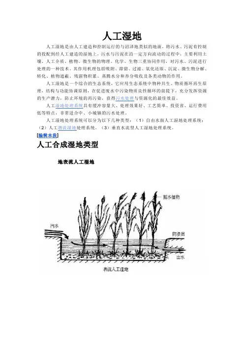 人工湿地