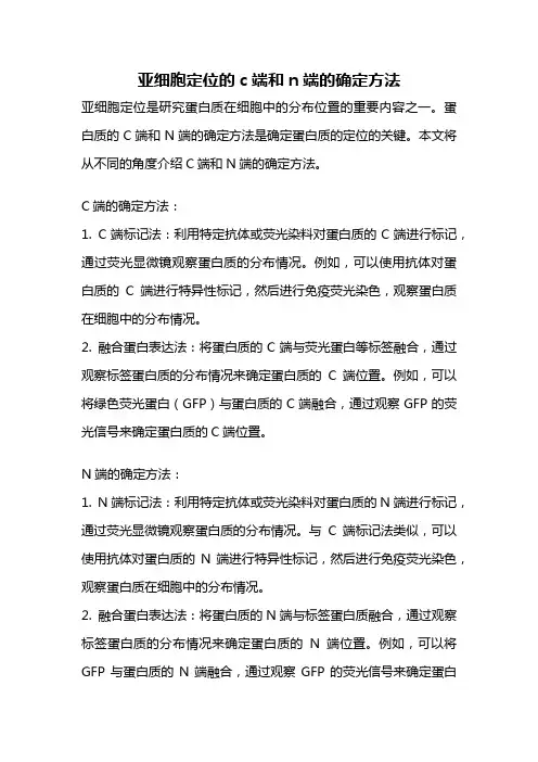 亚细胞定位的c端和n端的确定方法