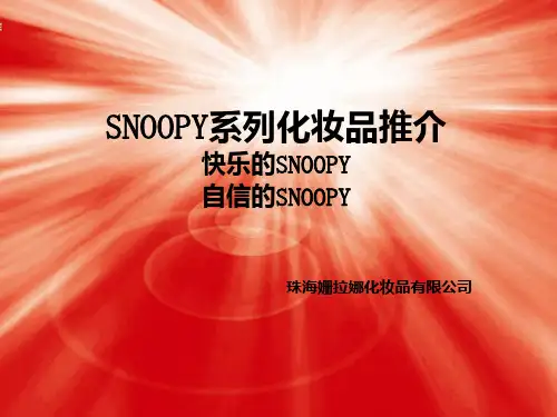推介会产品演示PPT课件