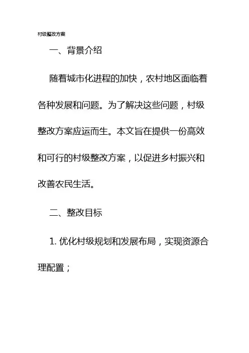 村级整改方案