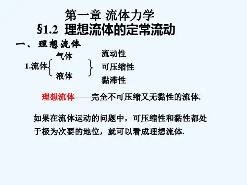 12理想流体的定常流动
