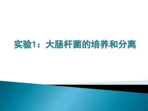 实验1：大肠杆菌的培养和分离