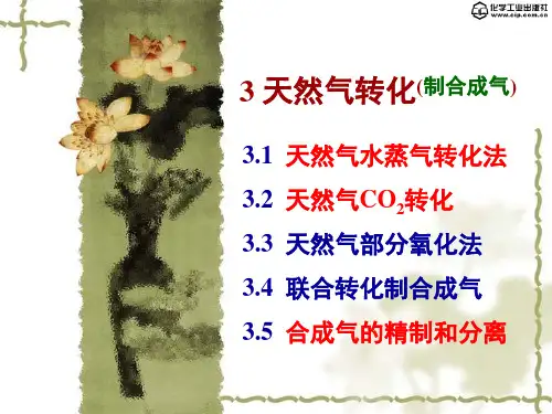 天然气化工工艺学   第03章 天然气转化