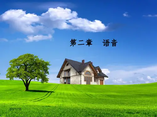 语言学概论第二章-(123)ppt课件