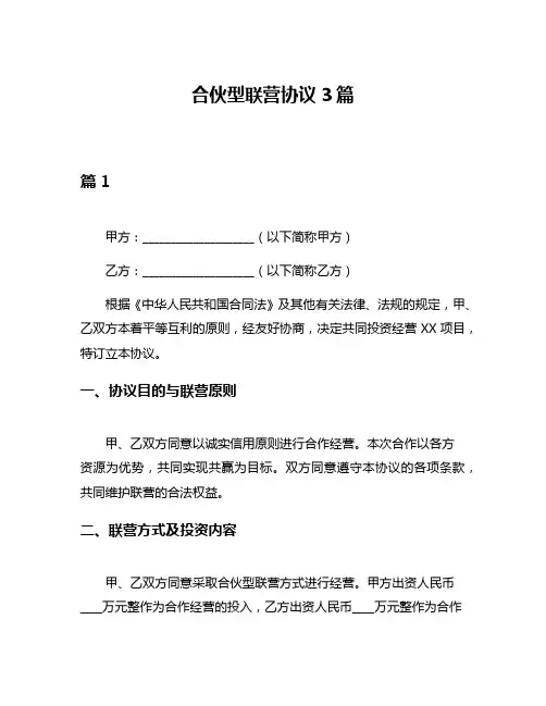 合伙型联营协议3篇