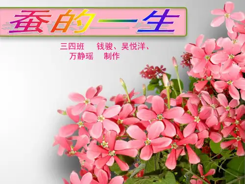 小学科学实验的PPT.ppt