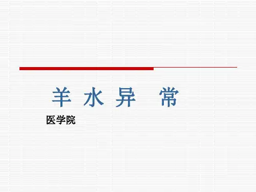 羊水异常精品PPT课件