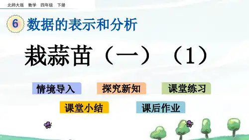 北师大版数学四年级下册《第六单元 数据的表示和分析栽蒜苗(一)(1)》教学课件