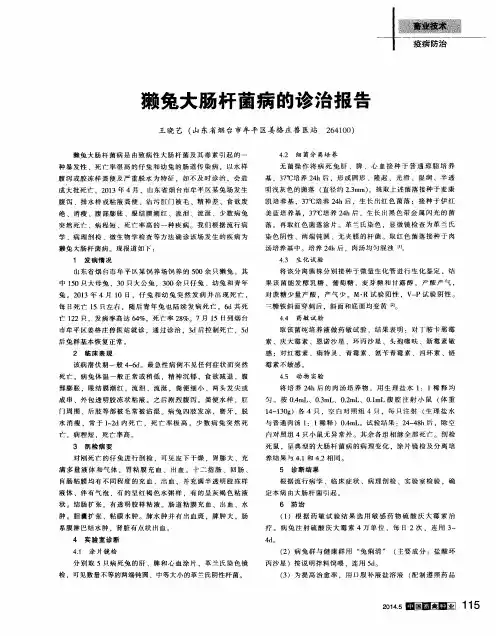 獭兔大肠杆菌病的诊治报告