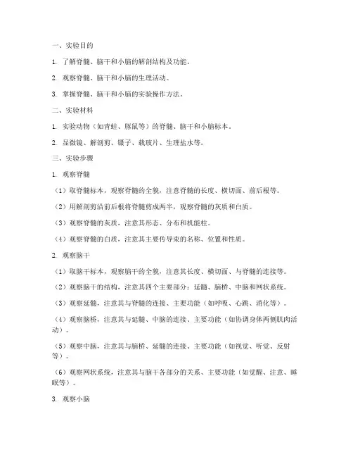 脊髓脑干小脑实验报告