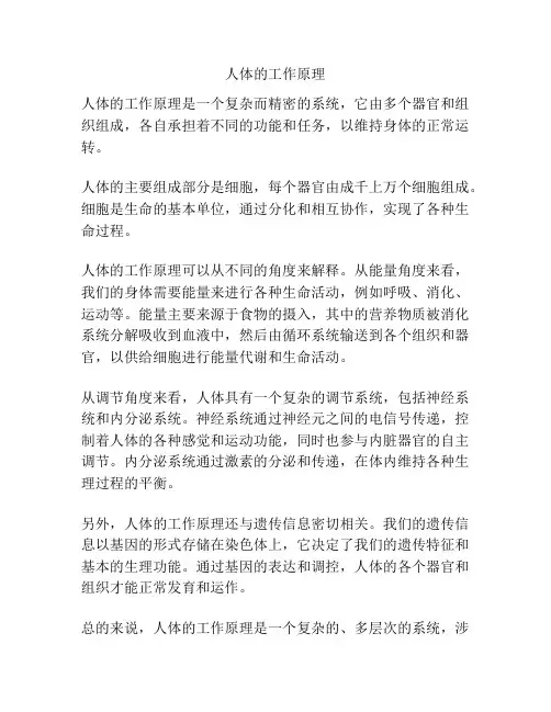 人体的工作原理