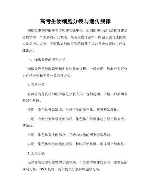 高考生物细胞分裂与遗传规律