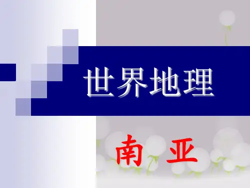 南亚(区域地理)(共41张PPT)