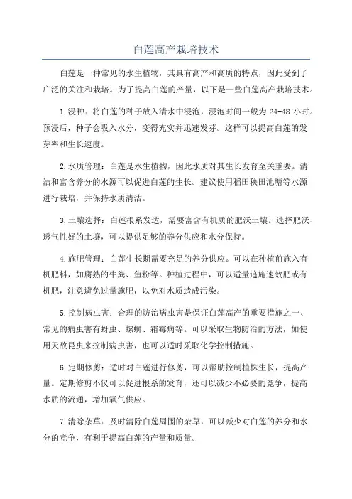 白莲高产栽培技术