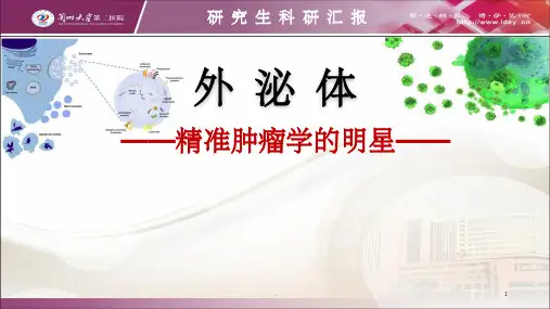 外泌体研究ppt课件