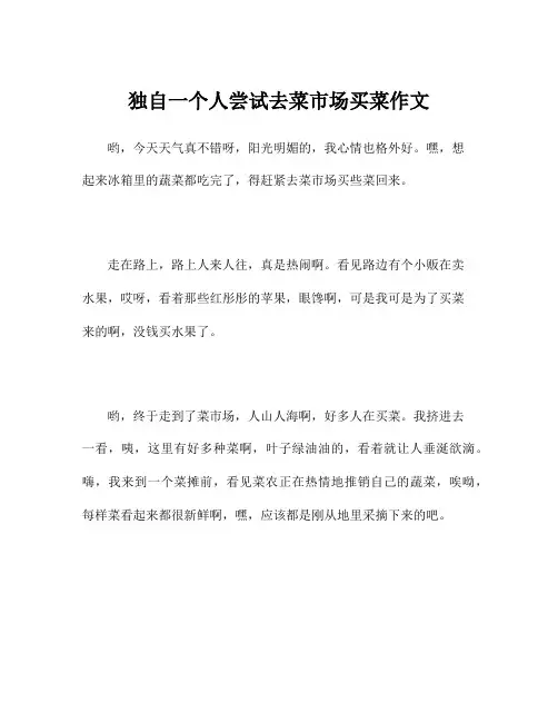 独自一个人尝试去菜市场买菜作文