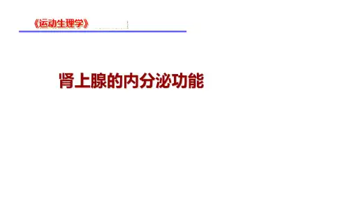 7-6 肾上腺的内分泌功能