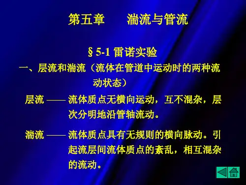 流体力学湍流PPT精选文档