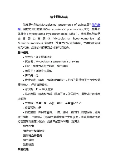 猪支原体肺炎