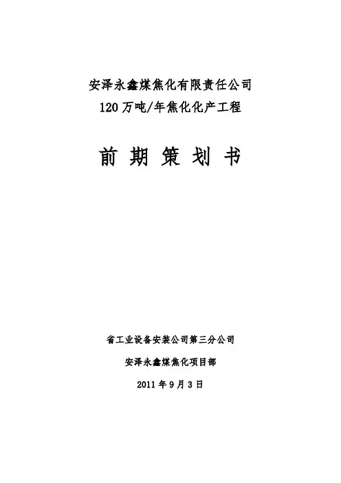 安泽永鑫项目前期项目策划