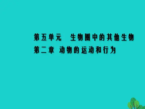 八年级生物上册 5.2.1 动物的运动课件 (新版)新人教版