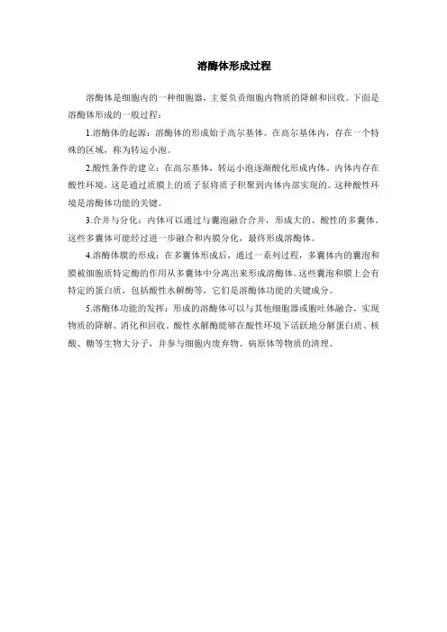 溶酶体形成过程