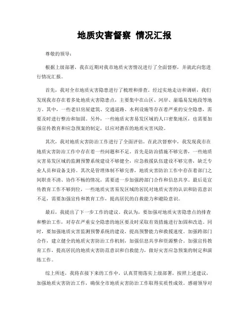 地质灾害督察 情况汇报