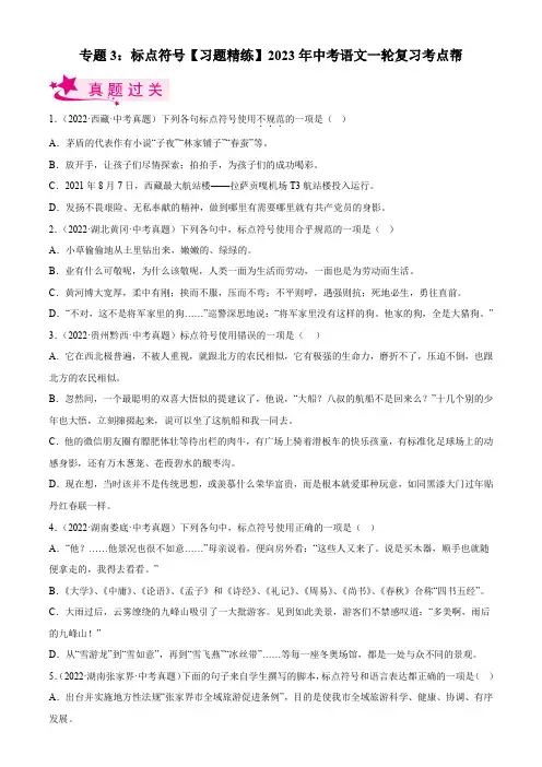 专题03标点符号-2023年中考语文一轮复习(原卷版)