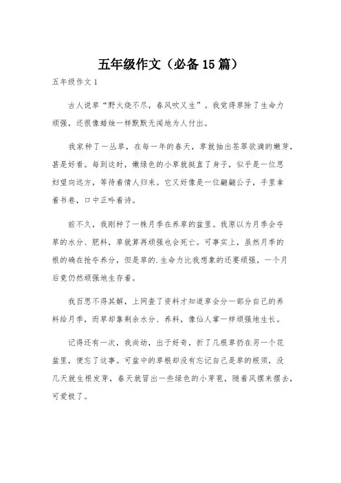 五年级作文(必备15篇)