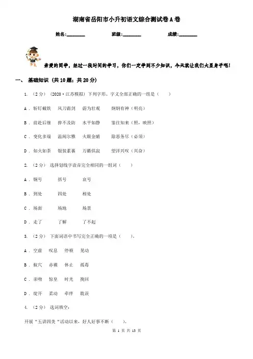 湖南省岳阳市小升初语文综合测试卷A卷