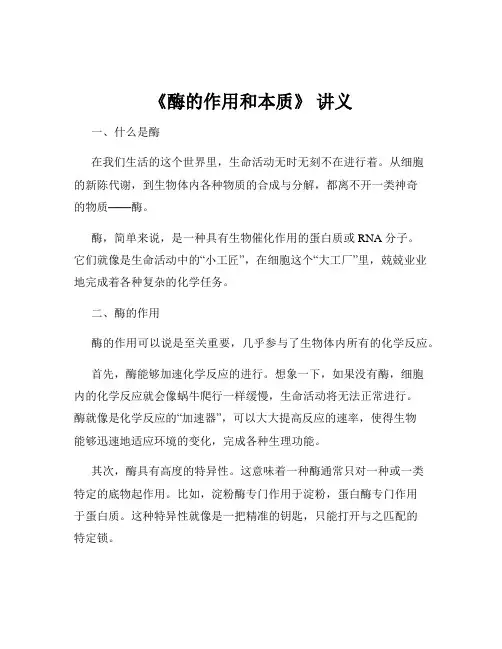 《酶的作用和本质》 讲义