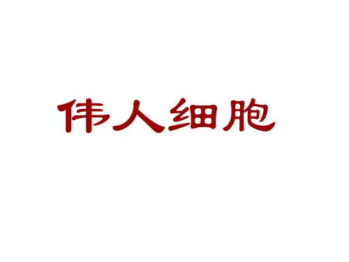 苏教版语文七年级上册第二单元课件：第9课《伟人细胞》