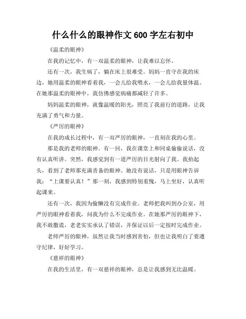 什么什么的眼神作文600字左右初中
