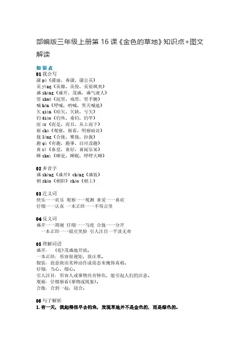 三年级语文上册-第16课《金色的草地》知识点 图文解读 【部编版】