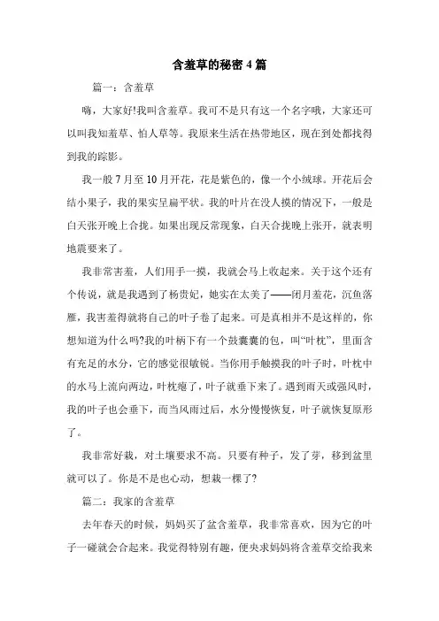 含羞草的秘密4篇 .doc