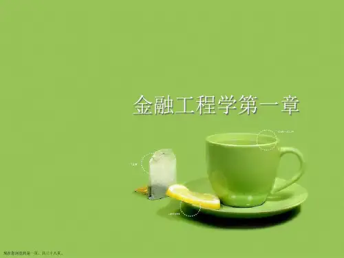 金融工程学第一章
