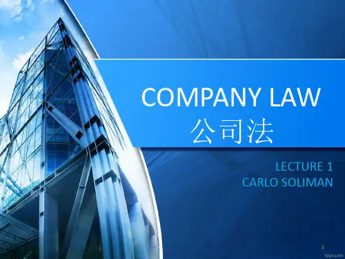 澳大利亚公司法Lecture 1ppt翻译版