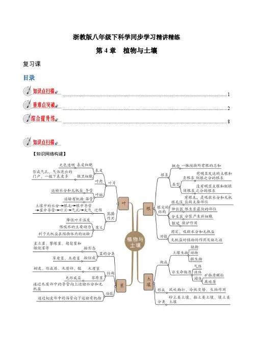 【精品讲义】浙教版 科学 8年级下册 第04章 植物与土壤(复习课)(教师版含解析)