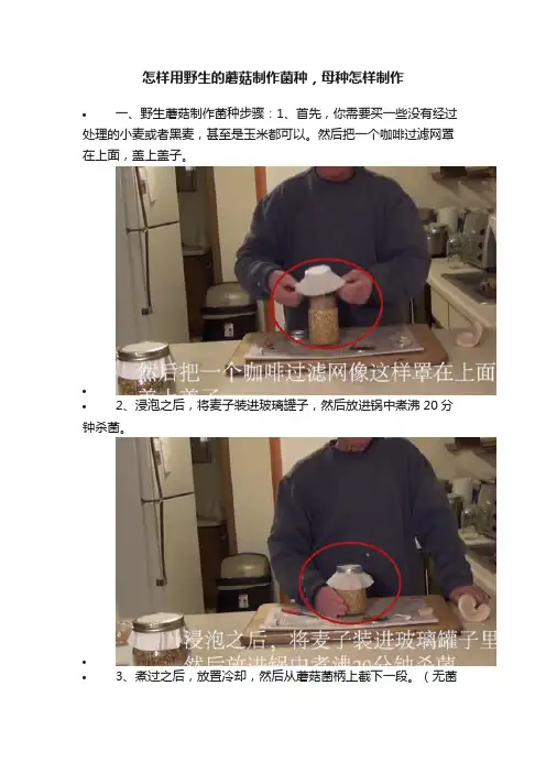 怎样用野生的蘑菇制作菌种，母种怎样制作