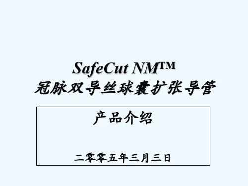 双导丝球囊介绍 PPT